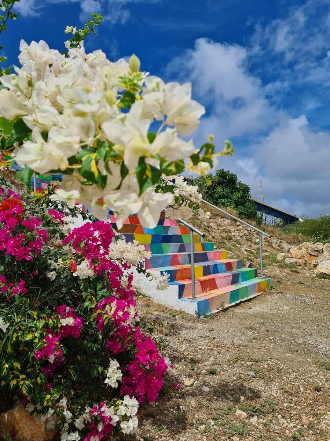Caribbean Beach Resort Blenchi Curacao Виллемстад Экстерьер фото